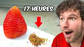Ils ont TROP de TEMPS LIBRE !