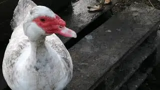 Не все всегда гладко.....