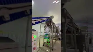 AMD Dried Mango Sorting Machine With Deep Learning Best Technology
