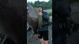 Трудно оторвать рыбу от дна! Трофей на ультралайт🔥 