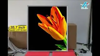 Head Sun 35.7inch Square LCD Display