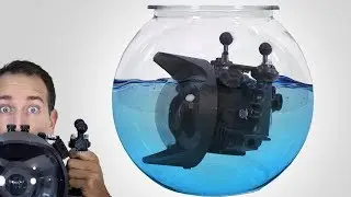5 Underwater Imagery Tips For New Photographers