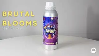 BRUTAL BLOOMS - Estimulador de floración