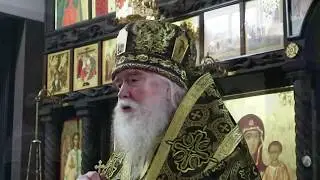 Митрополит Агафангел Слово об эпидемии 2020