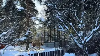 Морозы на даче не страшны . Топлю камин , начала сеять томаты