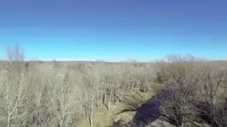 Clear Creek   Wheat Ridge