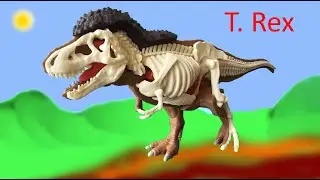 Model Showing the Inside of a Tyrannosaurus Rex