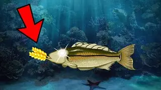Unity Devlog - So.. My Fish Eat Hay.. Part 20