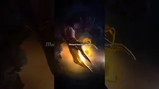 Montagem Orquestra Sinfônica slowed/reverb