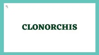 Clonorchis sinensis | Liver Fluke | Clonorchis Morphology, Life Cycle, Diagnosis & Treatment
