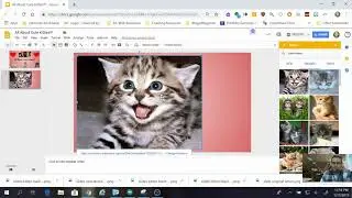 Fill Slide with One Image and No Skewing