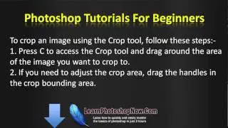 Adobe Photoshop CS5 Tutorials - How To Crop An Image