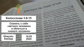 Совлечь с себя «ветхого человека» и облечься в «нового человека» – Колоссянам 3:8-15 – 18.05.2024