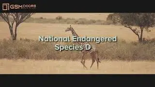 National Endangered Species Day 2023 | GSM Doors