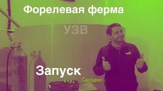 Запуск Форелевой фермы УЗВ
