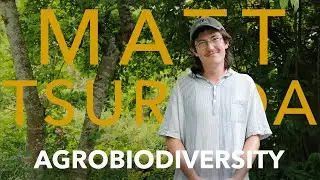 Agrobiodiversity | Matt Tsuruda - Insect Diversity on Farms