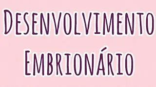 Desenvolvimento embrionário