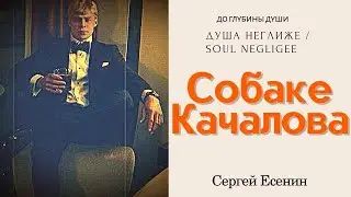 СОБАКЕ КАЧАЛОВА