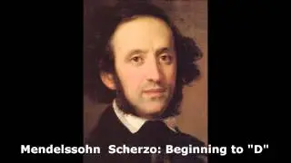 Viola Orchestra Excerpts: Brahms, Mendelssohn, Mahler, and Strauss