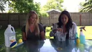 Natural All-Purpose Solution