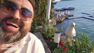 Galatasarayın yenilmesine gülen martı