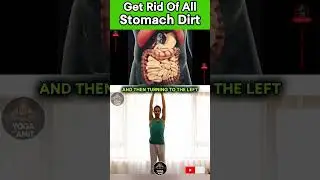 Clean Dirt from Stomach 