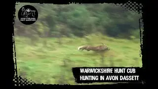 Warwickshire Hunt - Cub Hunting in Avon Dassett