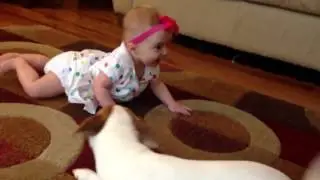 собачка учит ползать ребенка
