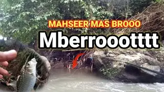 MANCING MAHSEER || Mberootttt strek arus deras