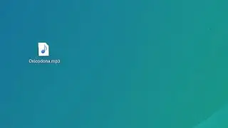 Oxicodona (Visualizer)