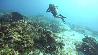Yucab 3 of 7