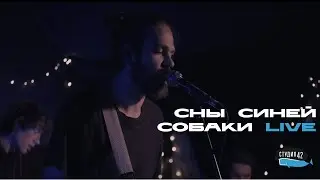 Сны Синей Собаки - Склонность | Студия 42 LIVE | Sny Siney Sobaki - Sklonnost'