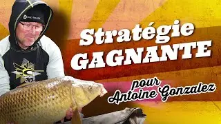 DES CARPES AU MILIEU DES SILURES: approche & stratégie