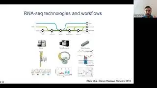 16. RNA sequencing - Igor Dolgalev