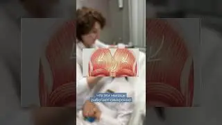 Как не дать лбу 