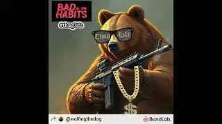 Drive bye  bear
