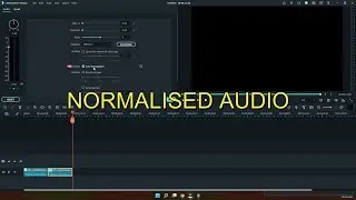 HOW TO USE THE AUDIO AUTO NORMALIZATION FEATURE IN WONDERSHARE FILMORA