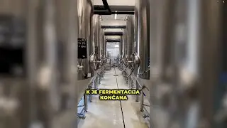 Anže in Bit Sever: v Kamniku po Poti piva in svobode