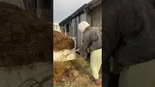 Первый раз в деревне. Привез невесту к родителям в деревню! 