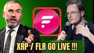 Ripple XRP: the entire system is GOING LIVE !! 🔥