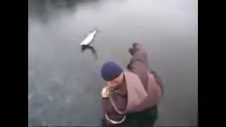 kahen kilon siika!