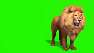 Lion running eating green screen effect: super duper