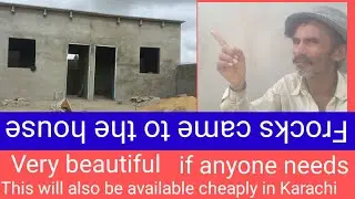 Malik sial House Raipur Youtube channel