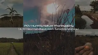 POV: Nyoba hunting sendirian ke sawah