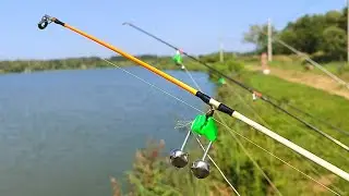 AGGRESSIVE BITES FROM BIG FISH CAUGHT ME OFF SURPRISED