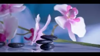 Сатсанг, Нижний Новгород 14.07.18.  