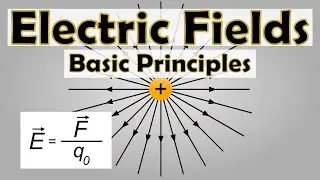Electric Fields, Electric Field Lines, Electric Field Vector | Physics Animation