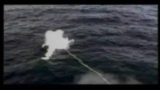 Roger Payne, Ph.D., The Ocean Alliance, Save the Whales
