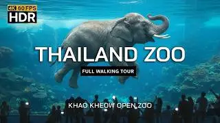 🇹🇭 4K HDR | Amazing zoo in Thailand 2025 | Khao Kheow Open Zoo | Full Walking Tour