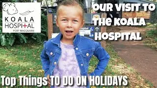 🌞Port Macquarie Koala Hospital | Things To Do When On Holidays🌴
